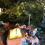 Apartamento Flamingo *
