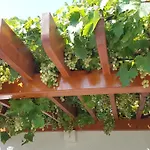 Apartament Flamingo