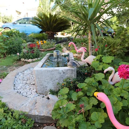 Flamingo *
