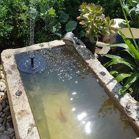 Flamingo Apartman Makarska