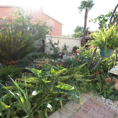 Flamingo Apartman Makarska