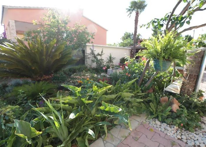 Flamingo Apartman Makarska