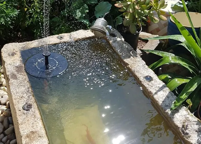 Flamingo דירה מאקרסקה